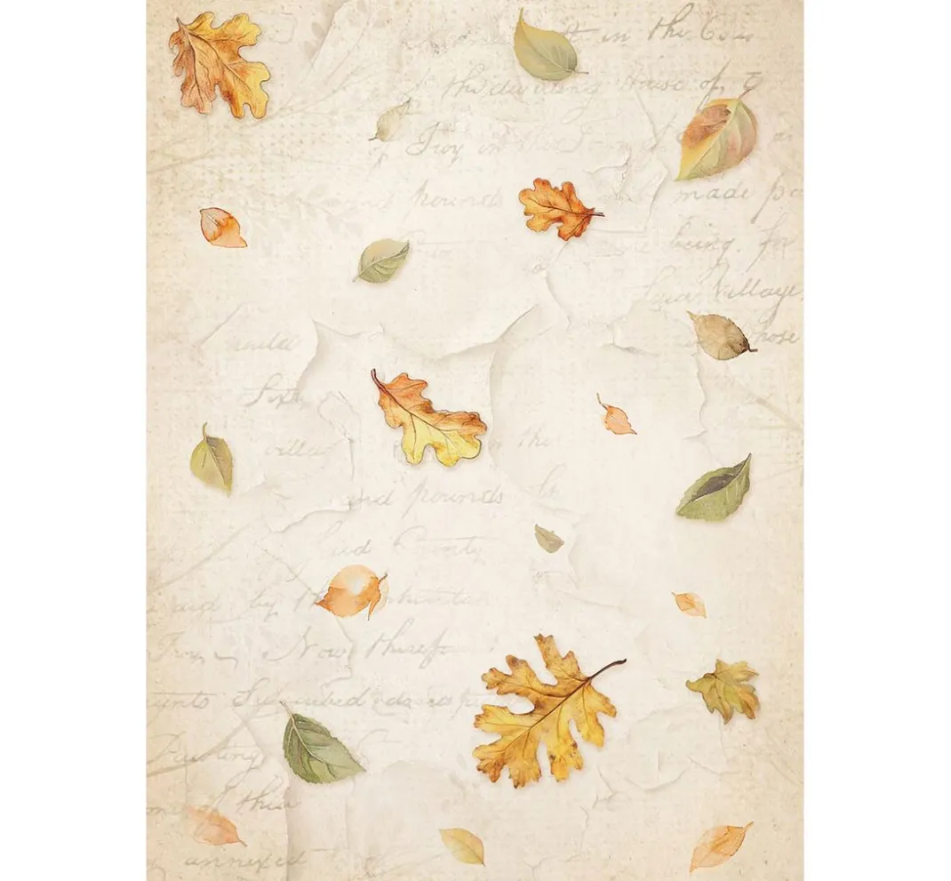 Stamperia Decoupage|Seidenpapier & Strohseide>Motiv-Strohseide Backgrounds "Whispering Woods"