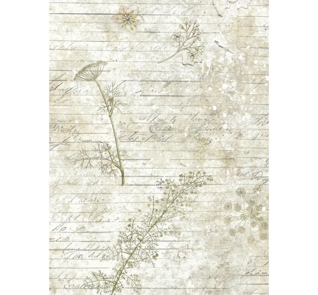 Stamperia Decoupage|Seidenpapier & Strohseide>Motiv-Strohseide Backgrounds "Herbarium Silvae", 8er Set