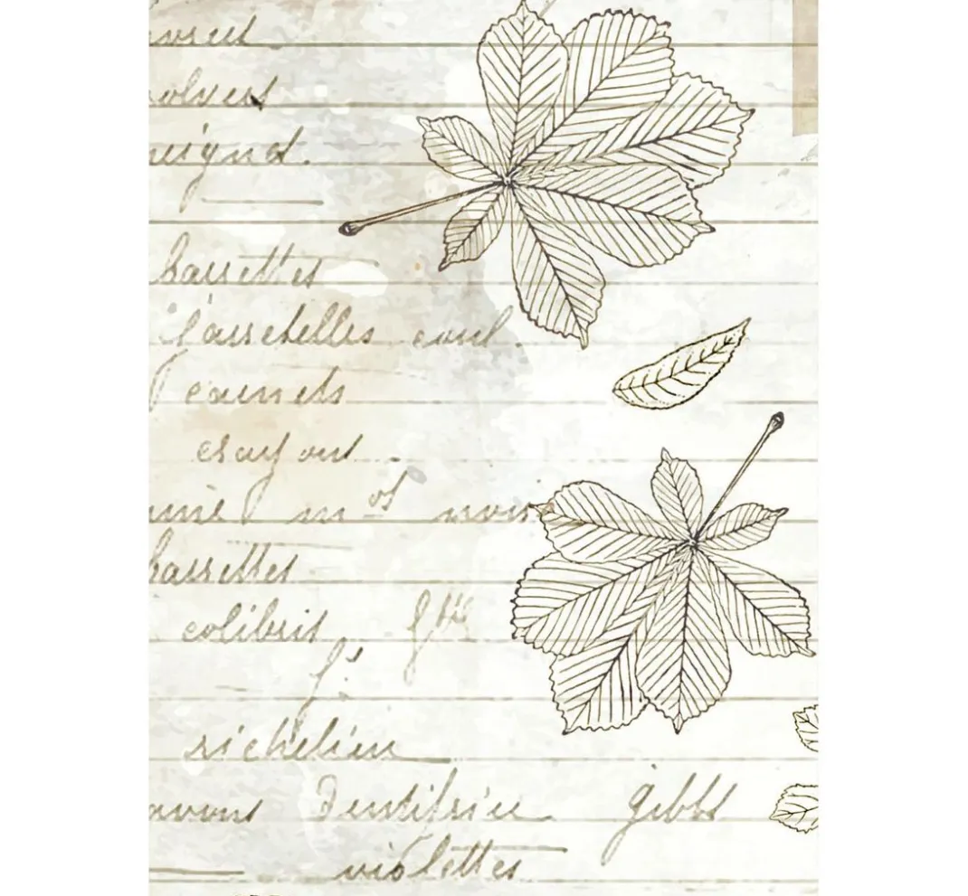 Stamperia Decoupage|Seidenpapier & Strohseide>Motiv-Strohseide Backgrounds "Herbarium Silvae", 8er Set