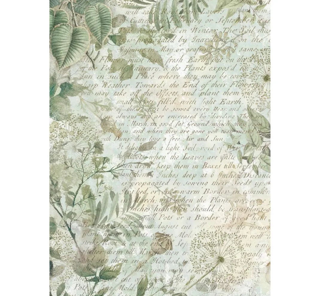 Stamperia Decoupage|Seidenpapier & Strohseide>Motiv-Strohseide Backgrounds "Herbarium Silvae", 8er Set