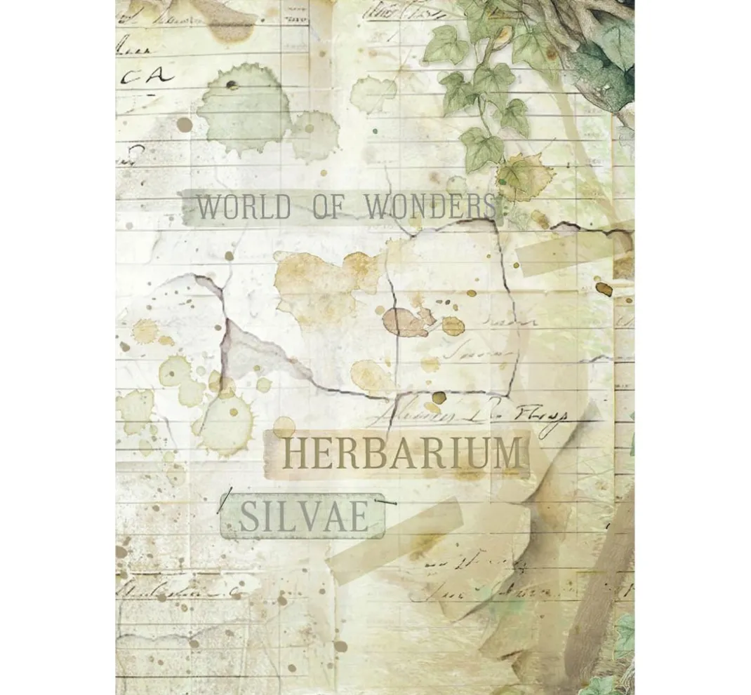 Stamperia Decoupage|Seidenpapier & Strohseide>Motiv-Strohseide Backgrounds "Herbarium Silvae", 8er Set