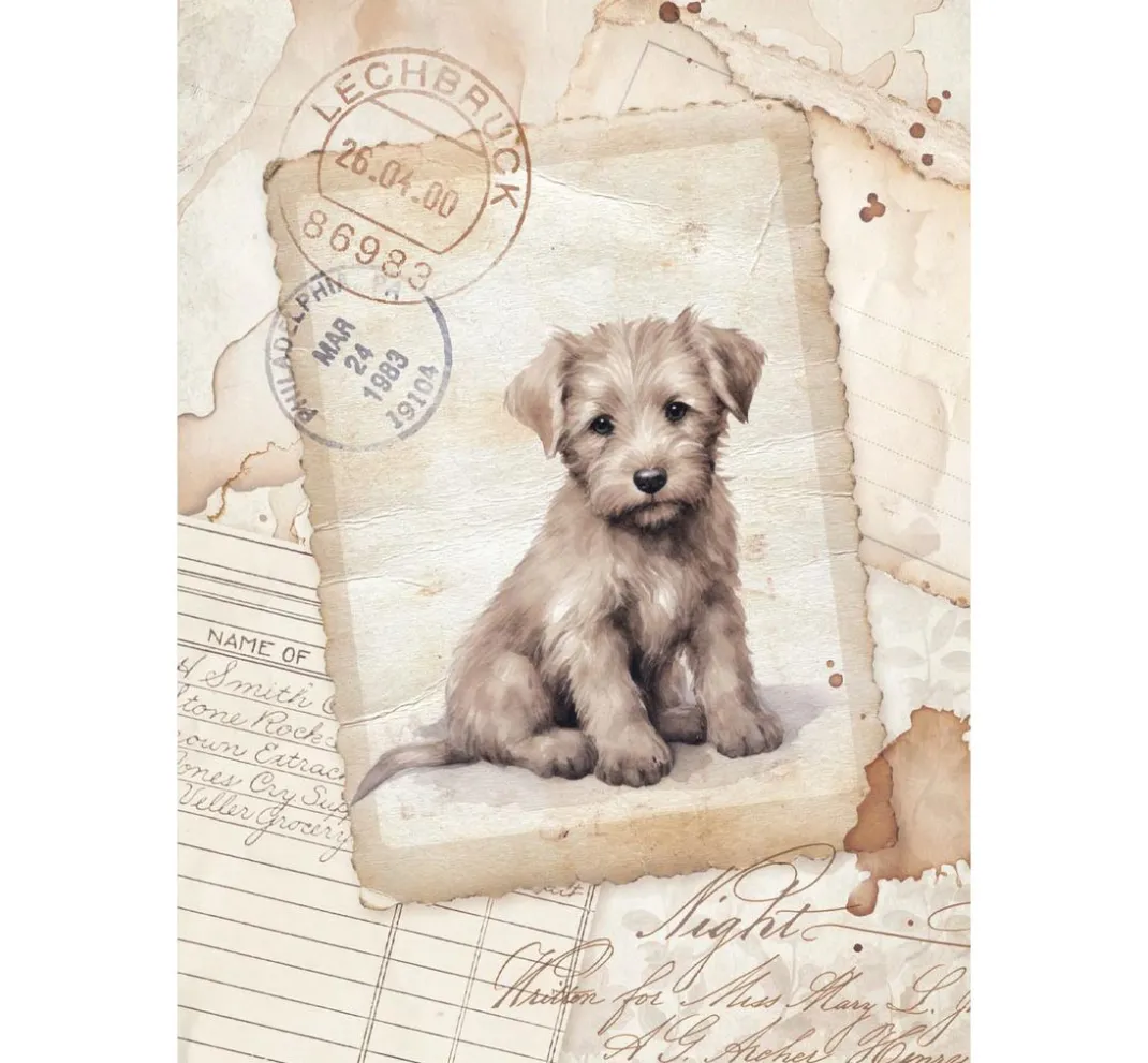 Stamperia Decoupage|Seidenpapier & Strohseide>Motiv-Strohseiden Sortiment "Quiet Days"