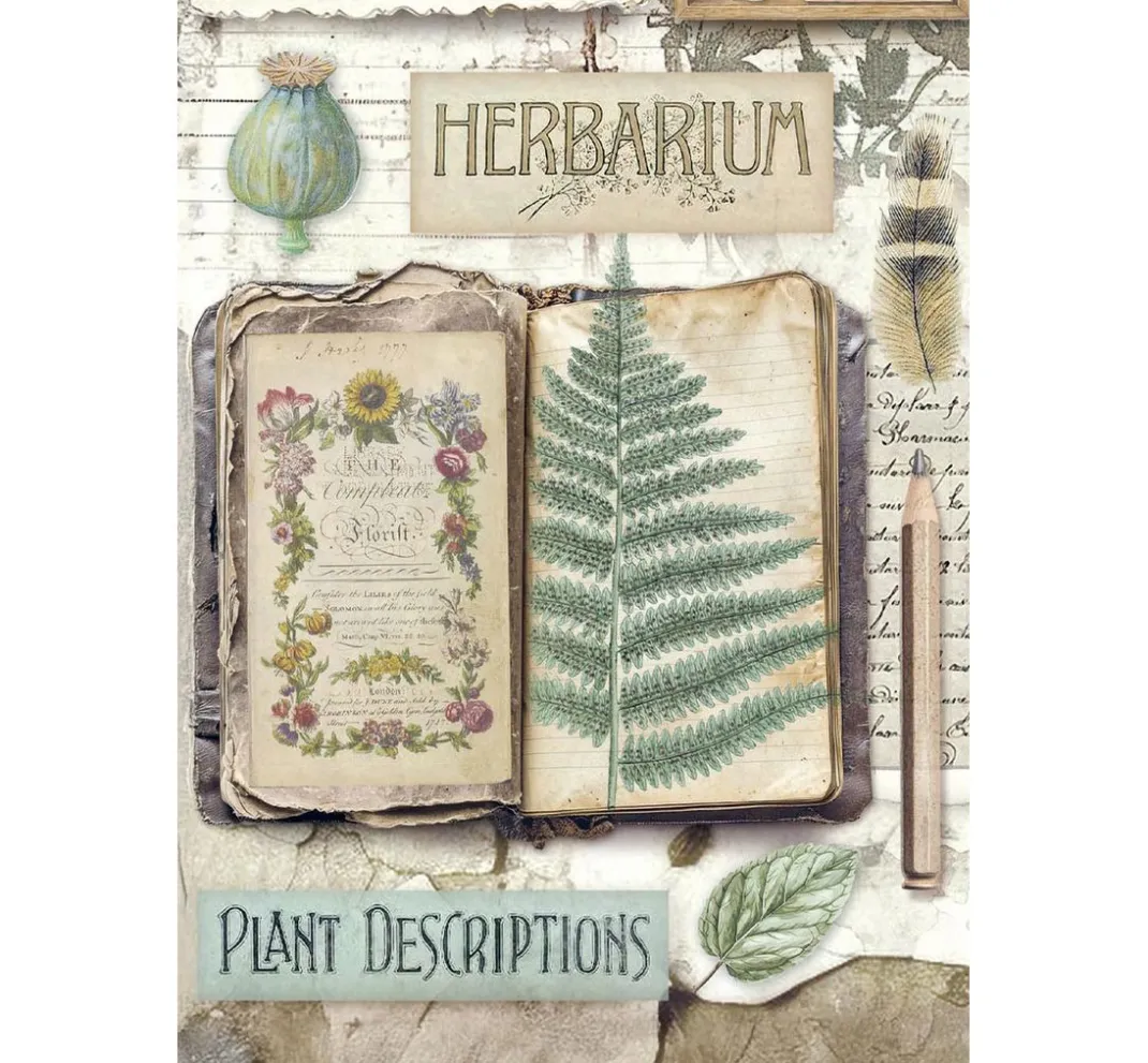 Stamperia Decoupage|Seidenpapier & Strohseide>Motiv-Strohseiden Sortiment "Herbarium Silvae", 8er Set
