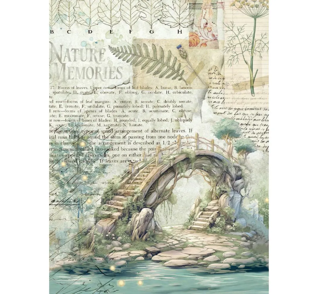 Stamperia Decoupage|Seidenpapier & Strohseide>Motiv-Strohseiden Sortiment "Herbarium Silvae", 8er Set