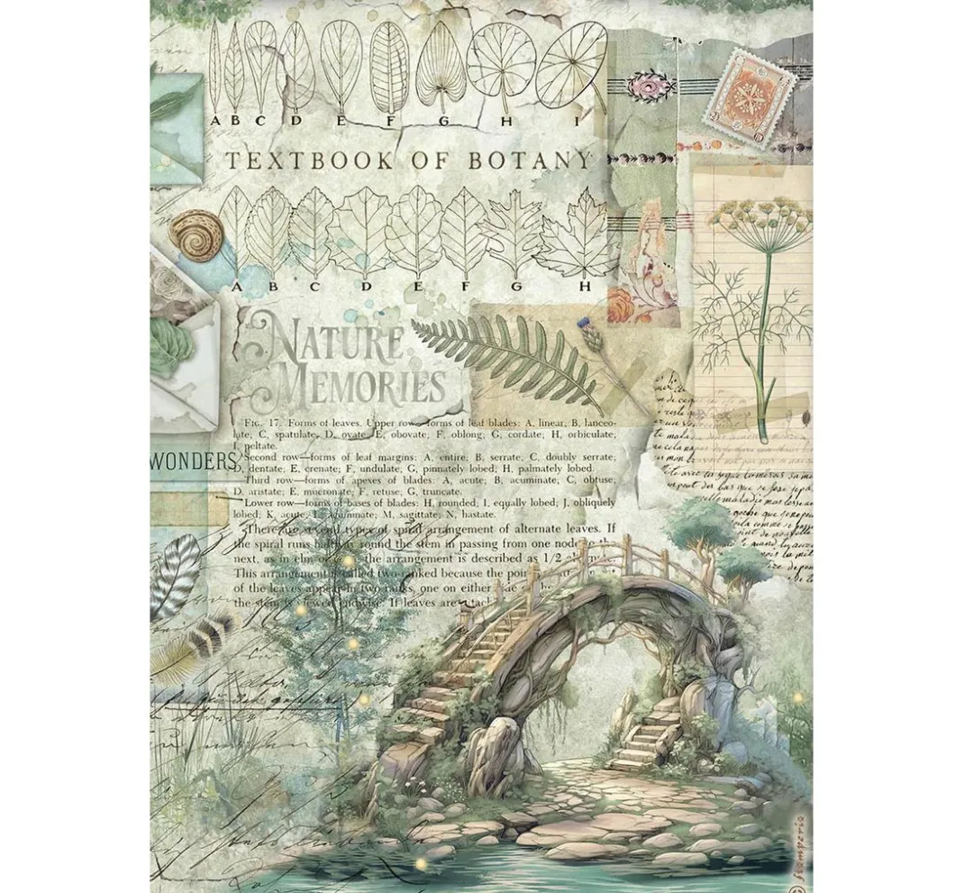 Stamperia Decoupage|Seidenpapier & Strohseide>Motiv-Strohseiden Sortiment "Herbarium Silvae", 6er-Set