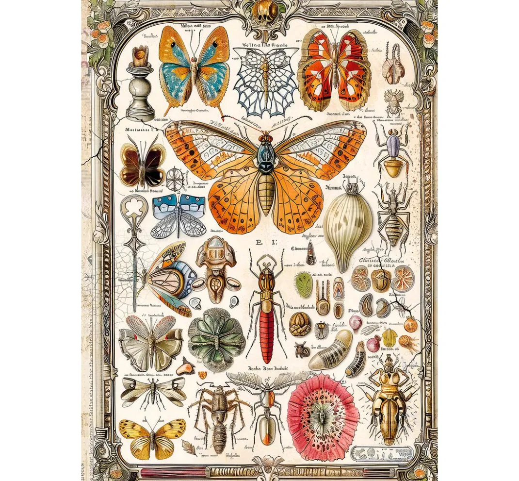 Ciao Bella Decoupage|Seidenpapier & Strohseide>Motiv-Strohseiden Sortiment "Schönheiten der Natur"