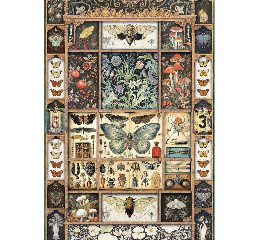Ciao Bella Decoupage|Seidenpapier & Strohseide>Motiv-Strohseiden-Sortiment "Cabinet of Curiosities", 4er-Set