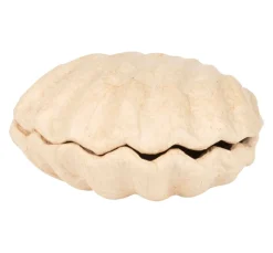 Kinder décopatch Holz|Decoupage>Muschelbox, Pappmaché
