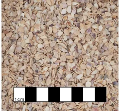Eurosand Sand, Steine & Kies|Muscheln & Treibholz>Muschelgranulat