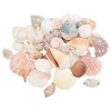 Eurosand Muscheln & Treibholz>Muschel-Mix "Natur"