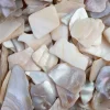 Eurosand Muscheln & Treibholz|Naturmaterialien>Muschelplatten