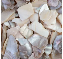 Eurosand Muscheln & Treibholz|Naturmaterialien>Muschelplatten