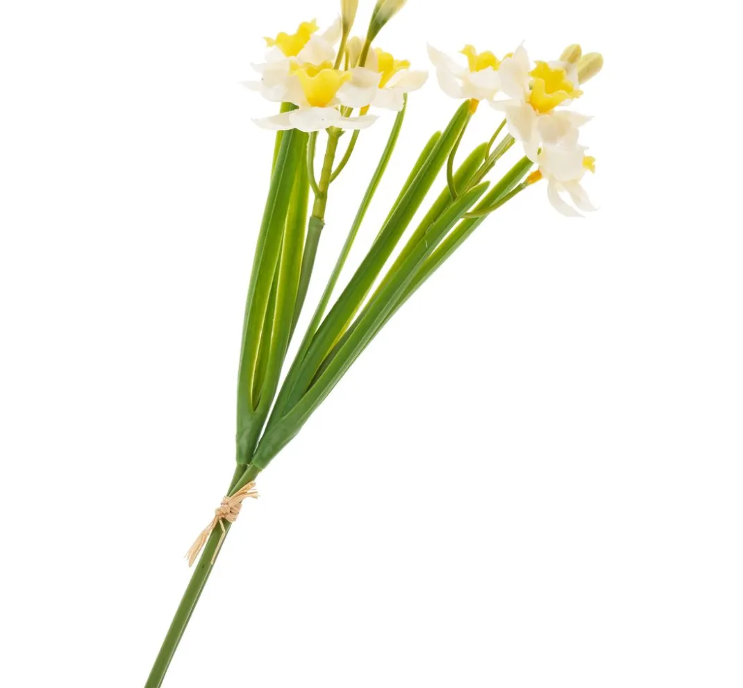 DPI Blumen>Narzissen-Bund "Yellow / White"
