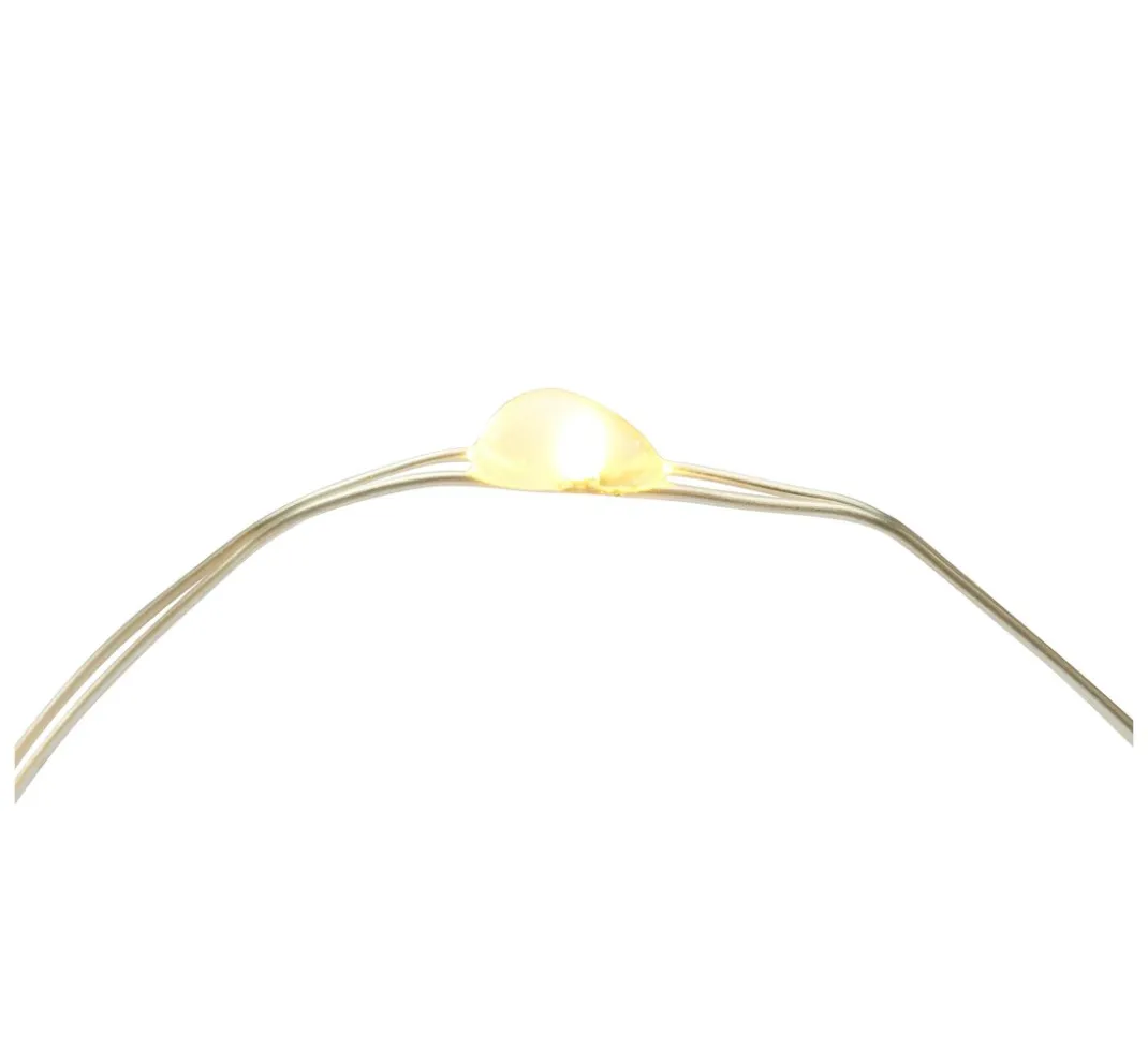 ohne Marke Lichterketten>Outdoor Micro-LED-Lichterkette, mit Fernbedienung, 100 LEDs