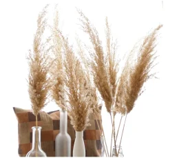 ohne Marke Trockenblumen & - Früchte><noscript><img width=