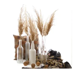 ohne Marke Trockenblumen & - Früchte><noscript><img width=