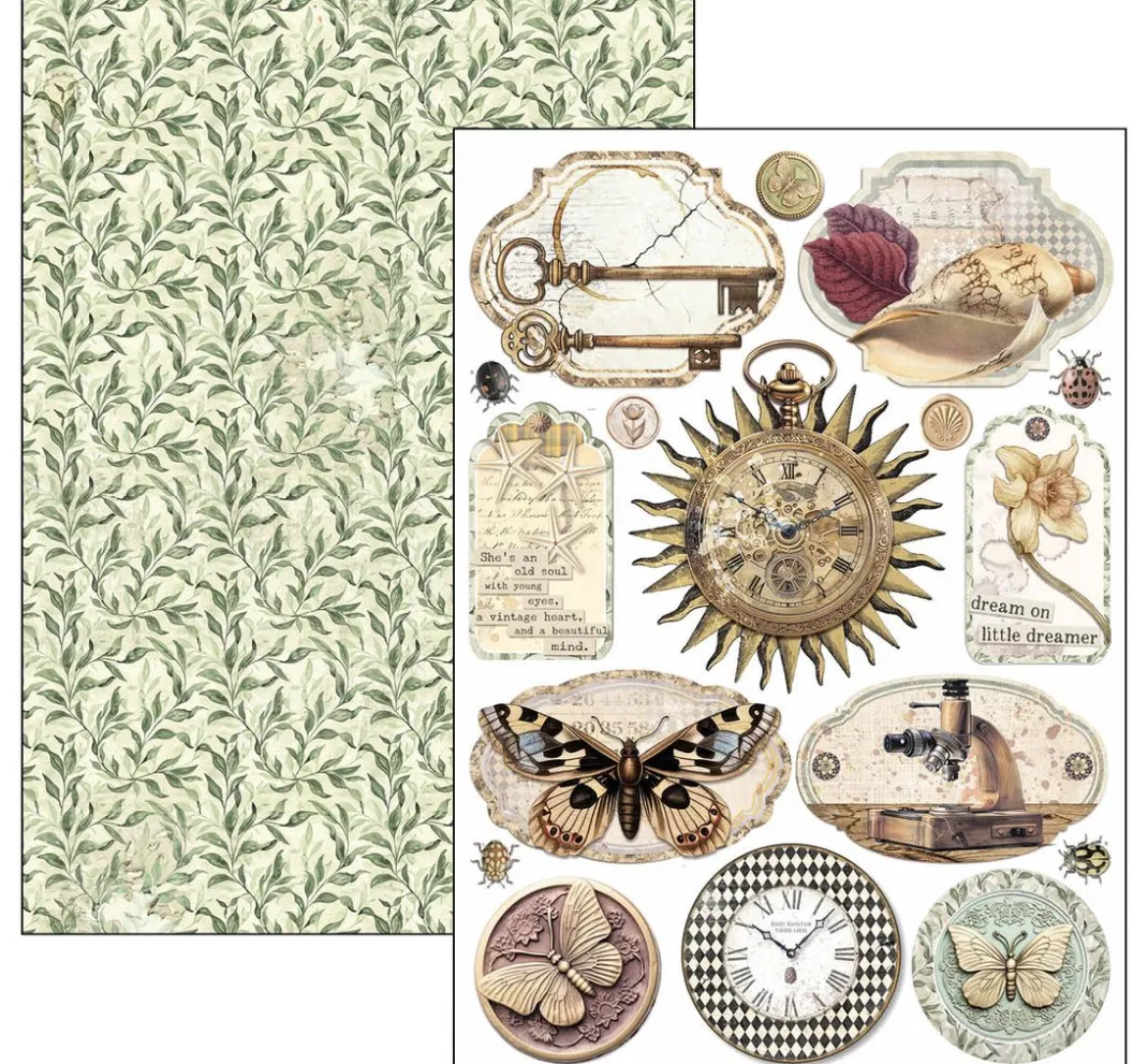 Ciao Bella Farb- & Motivblöcke|Scrapbooking>Papier-Set "Cabinet of Curiosities"