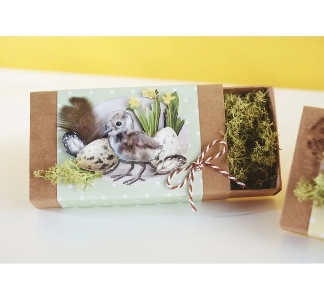 Kinder FINDit Papier|Scrapbooking>Papier-Set "Pünktchen", Pastell