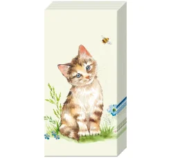 IHR Serviettentechnik>Papiertaschentücher "Cat Kira"