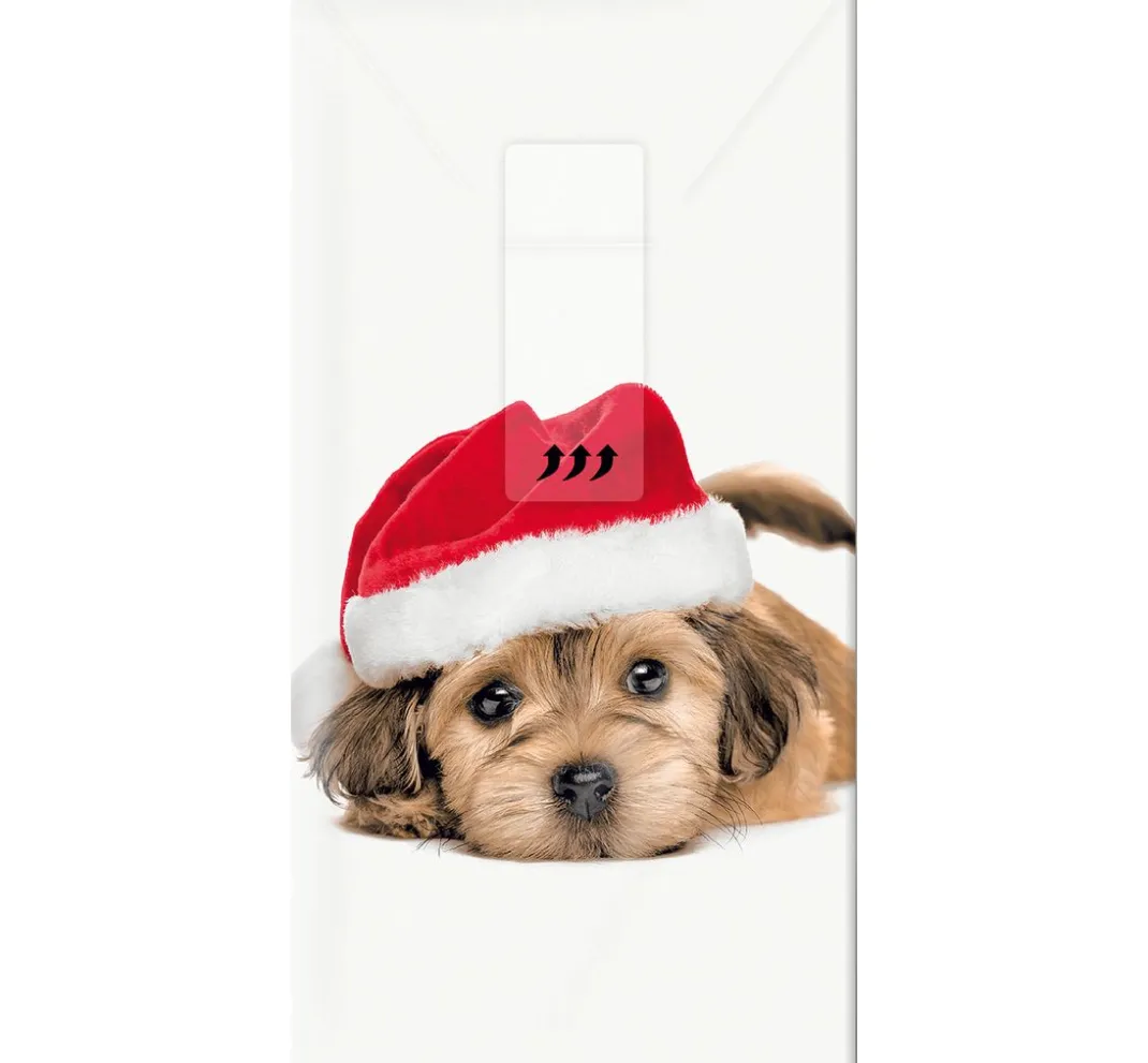 Paper+Design Serviettentechnik>Papiertaschentücher "Sweet Santa Dog"