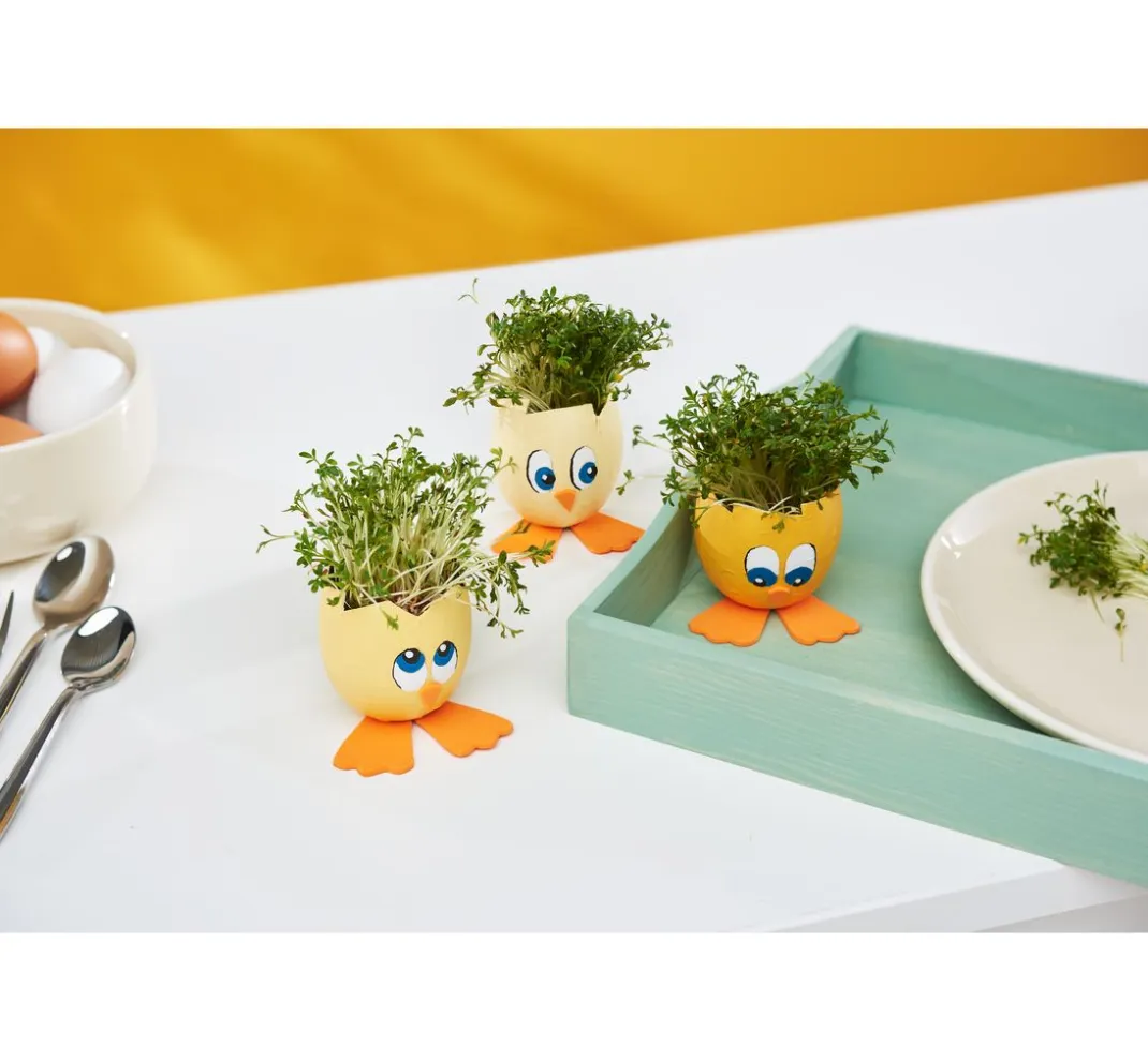Kinder décopatch Holz|Decoupage>Papp-Eierschalen, wasserdicht