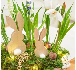 DPI Blumen><noscript><img width=