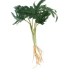 DPI Bäume & Zweige>Philodendron-Busch