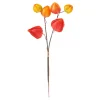 DPI Blumen|Bäume & Zweige>Physalis Zweig, 6 Lampionblüten