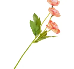 DPI Blumen>Ranunkel-Pick mit 3 Blüten