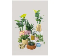 Rico Design Häkeln|Häkeln><noscript><img width=