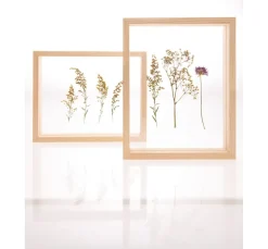 Rico Design Holz, Mdf & Pappmaché><noscript><img width=