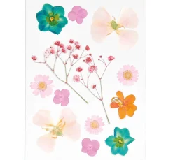 Rico Design Papierschöpfen|Trockenblumen & - Früchte>Mix Set gepresste Blüten "Orange Türkis"