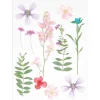 Rico Design Papierschöpfen|Trockenblumen & - Früchte>Mix Set gepresste Blüten "Rosa Violett"