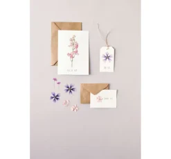 Rico Design Papierschöpfen|Trockenblumen & - Früchte><noscript><img width=