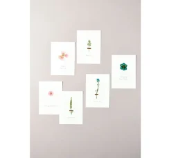 Rico Design Papierschöpfen|Trockenblumen & - Früchte><noscript><img width=