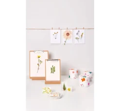 Rico Design Papierschöpfen|Trockenblumen & - Früchte><noscript><img width=
