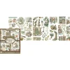 Stamperia Scrapbooking|Kartengestaltung>Rub On Sortiment "Herbarium Silvae"