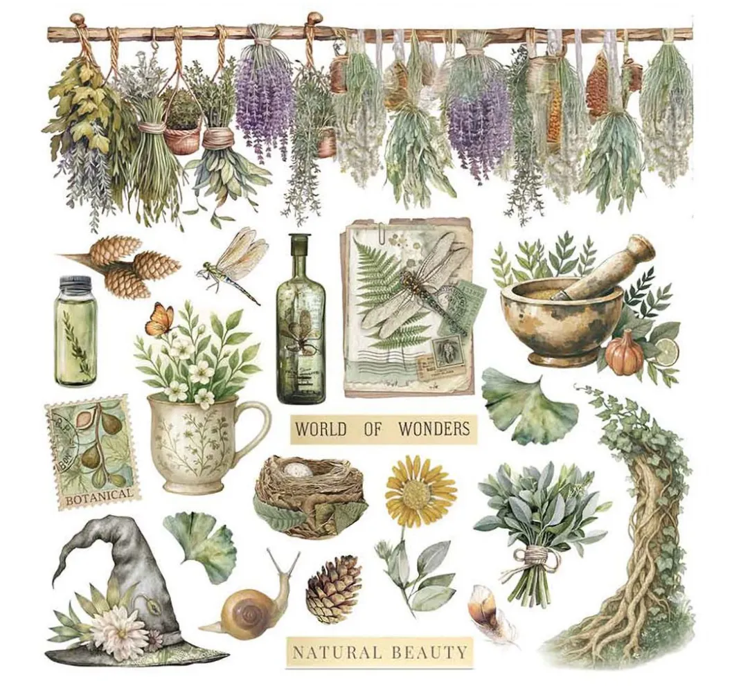 Stamperia Scrapbooking|Kartengestaltung>Rub On Sortiment "Herbarium Silvae"