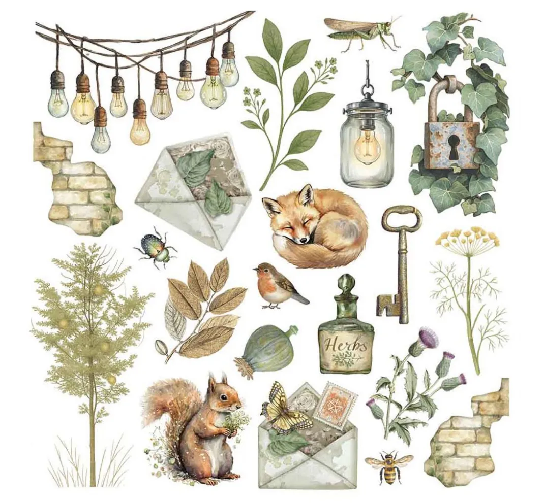 Stamperia Scrapbooking|Kartengestaltung>Rub On Sortiment "Herbarium Silvae"