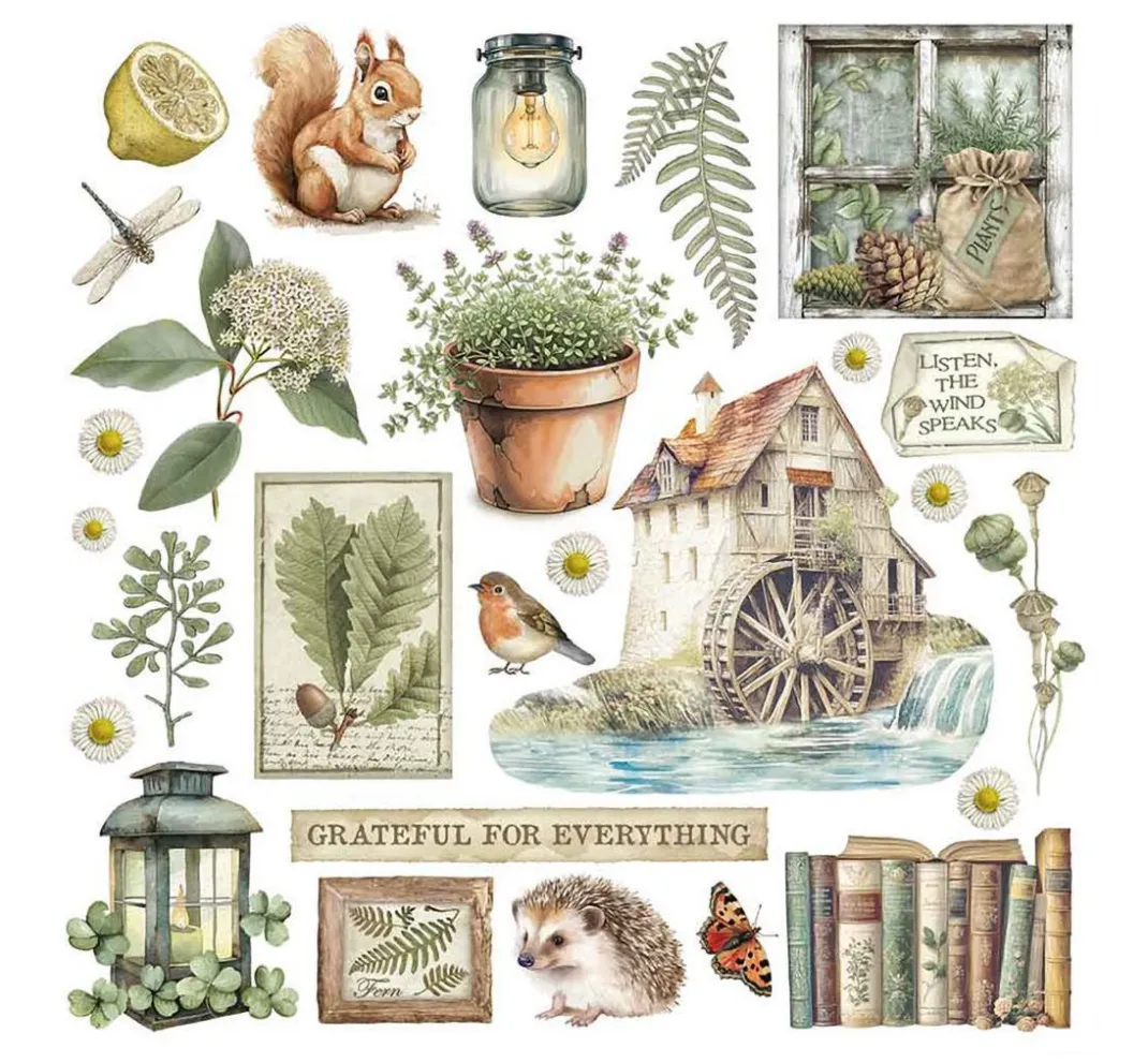 Stamperia Scrapbooking|Kartengestaltung>Rub On Sortiment "Herbarium Silvae"
