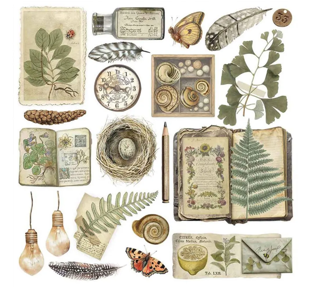 Stamperia Scrapbooking|Kartengestaltung>Rub On Sortiment "Herbarium Silvae"