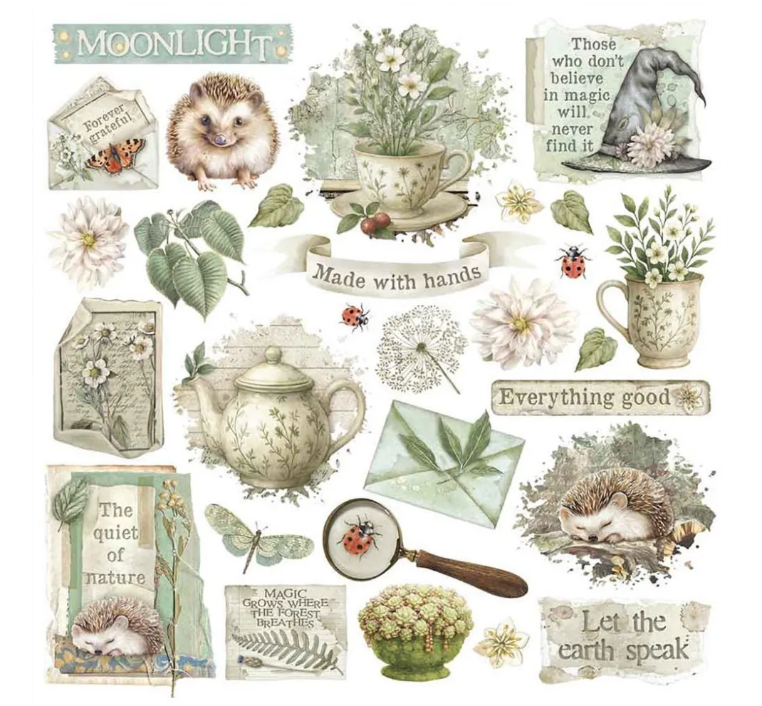 Stamperia Scrapbooking|Kartengestaltung>Rub On Sortiment "Herbarium Silvae"