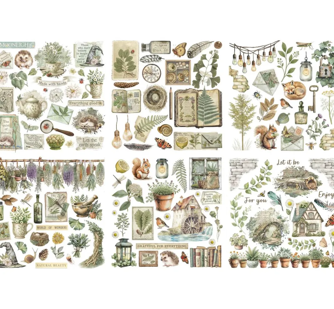 Stamperia Scrapbooking|Kartengestaltung>Rub On Sortiment "Herbarium Silvae"