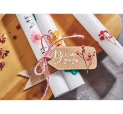 Sakura Stifte><noscript><img width=