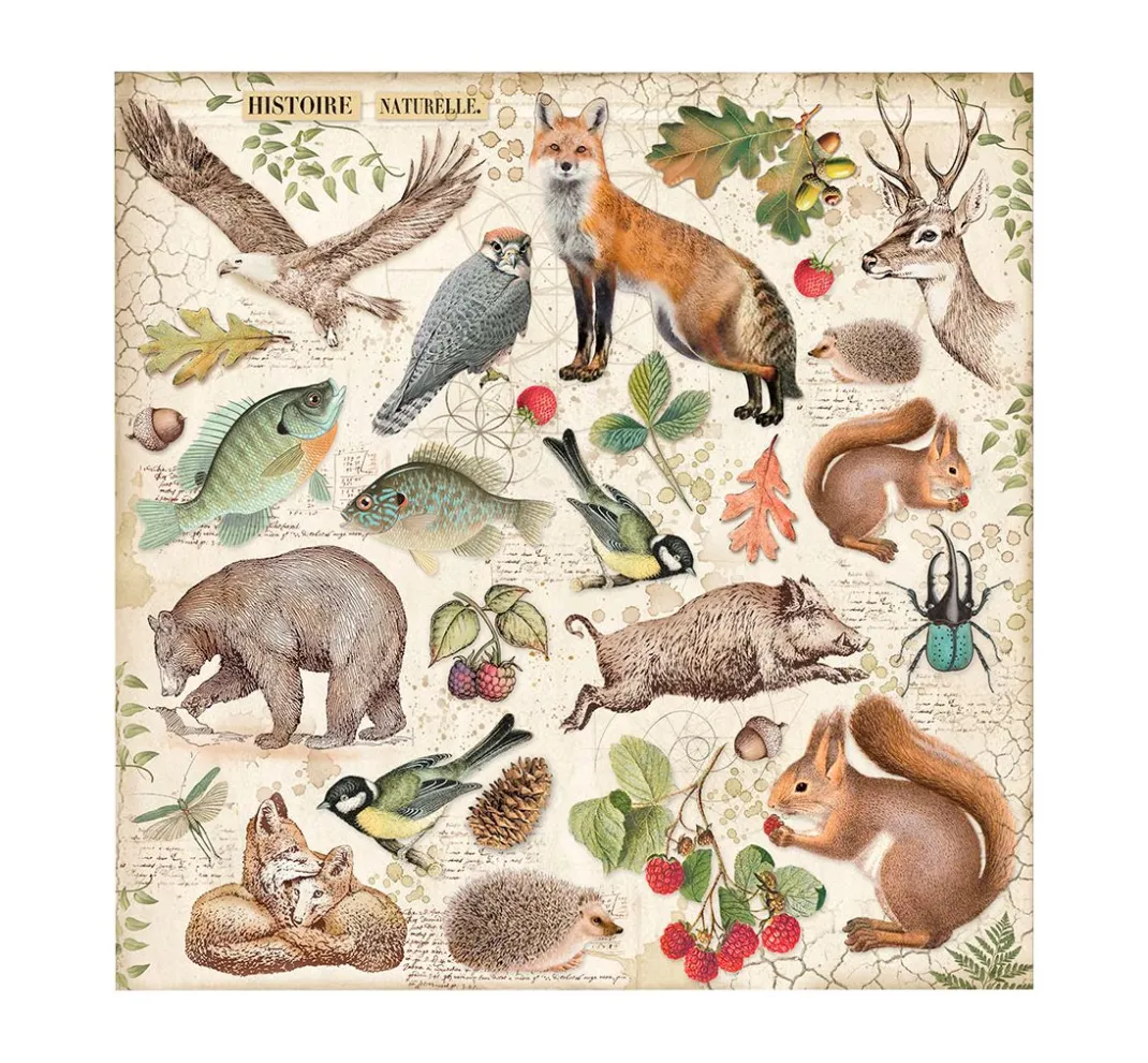 Stamperia Farb- & Motivblöcke|Scrapbooking>Scrapbook-Block "Forest"