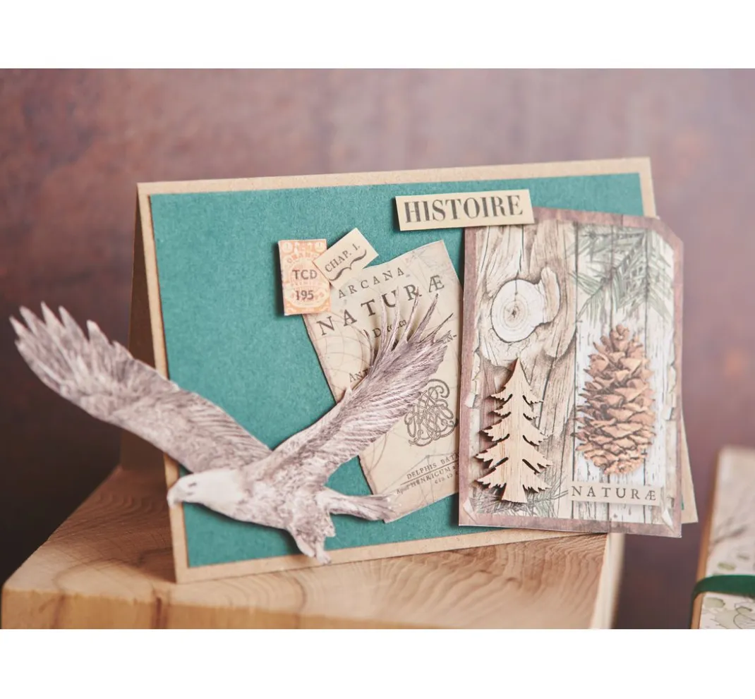 Stamperia Farb- & Motivblöcke|Scrapbooking>Scrapbook-Block "Forest"