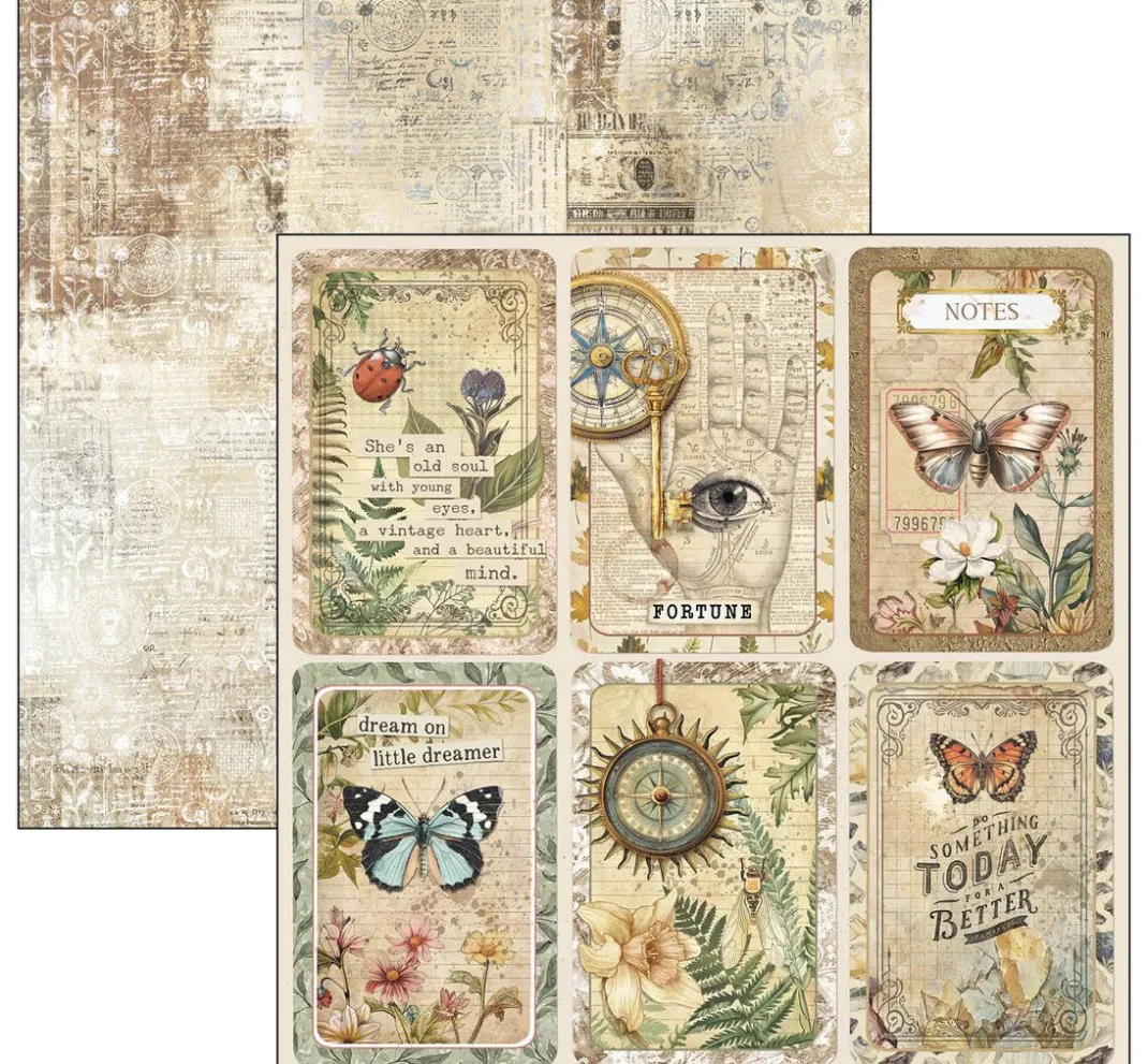 Ciao Bella Farb- & Motivblöcke|Scrapbooking>Scrapbook-Papier "Cabinet of Curiosities"
