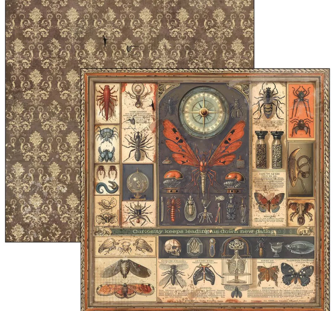 Ciao Bella Farb- & Motivblöcke|Scrapbooking>Scrapbook-Papier "Cabinet of Curiosities"