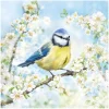 Ambiente Serviettentechnik|Frühling>Serviette "Blossom Time"