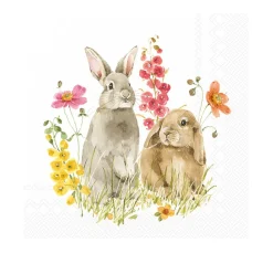 IHR Ostern|Serviettentechnik>Serviette "Freunde im Frühling"